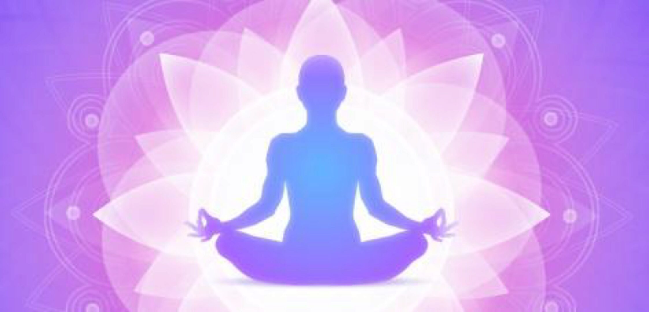 1000 программ, ограничивающих Богатство. Тета-хилинг (Инна Головизнина)