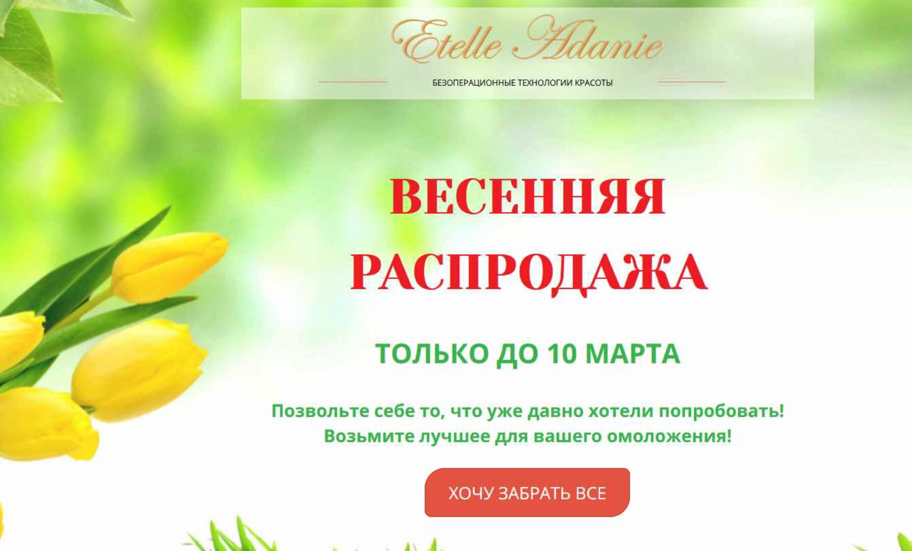 ЭНЕРДЖИ 1-8 ступени + Любовная магия + Денежная магия (Этель Аданье)