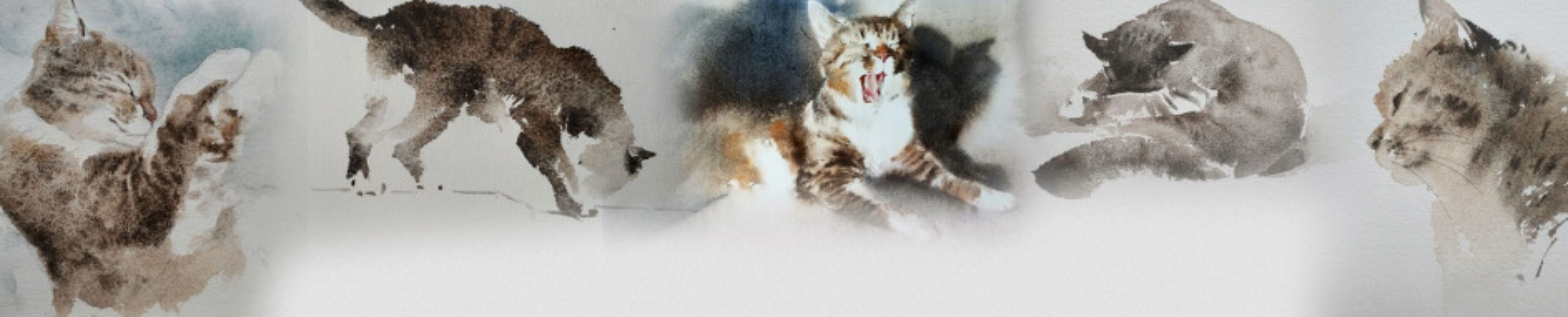 Абсолютно новые котики. Практика (Константин Стерхов)