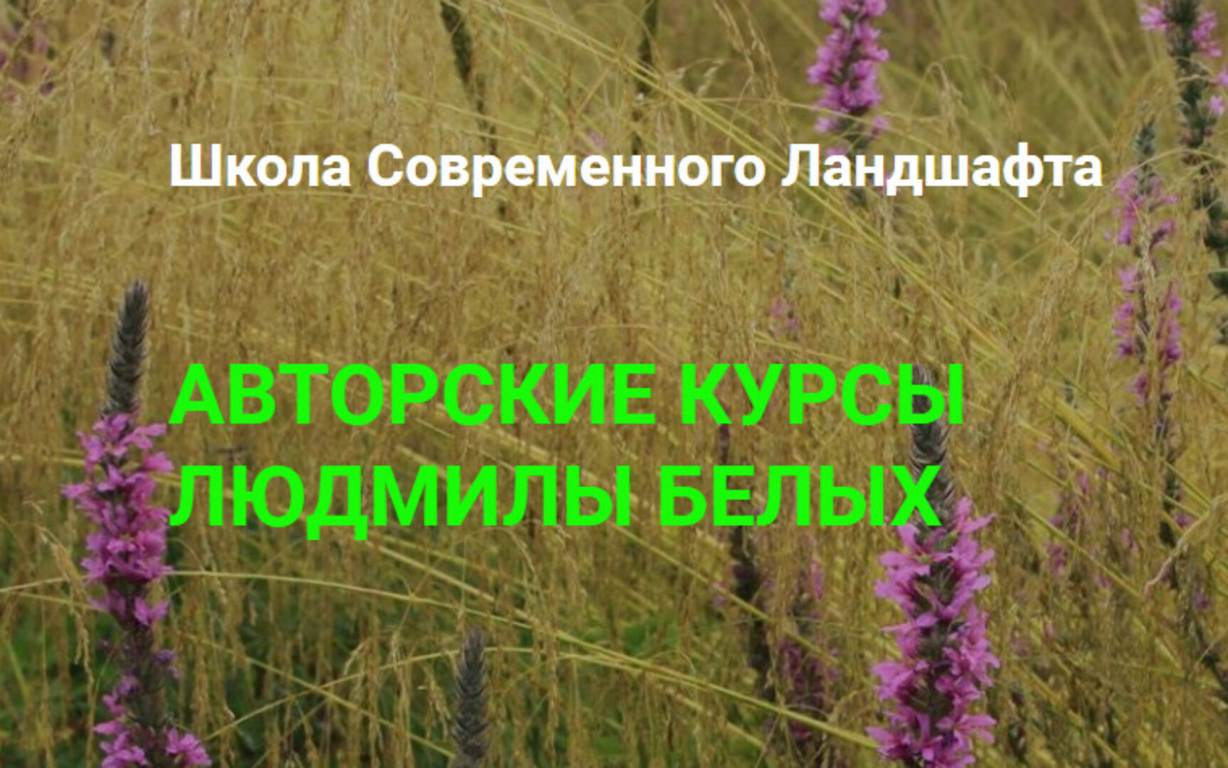 [Школа Современного Ландшафта] Сад в тени (Людмила Белых)