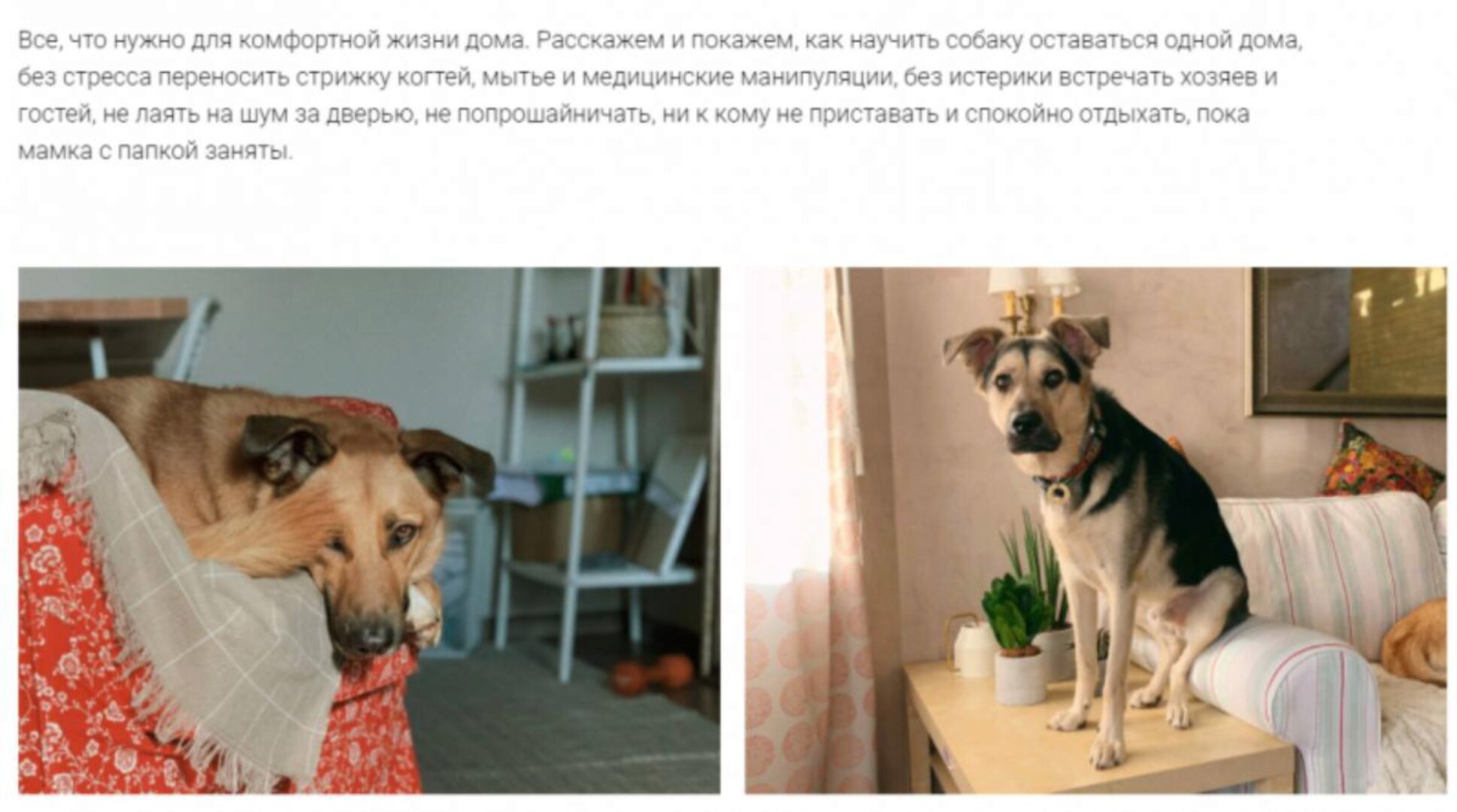 [Pi-Bo] Бытовое воспитание. Минимальный (Надя Пигарева, Оксана Тюльпинова)