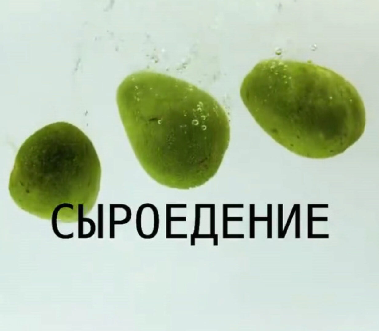 [Garbuzova.pro] Сыроедение (Галина Гарбузова)