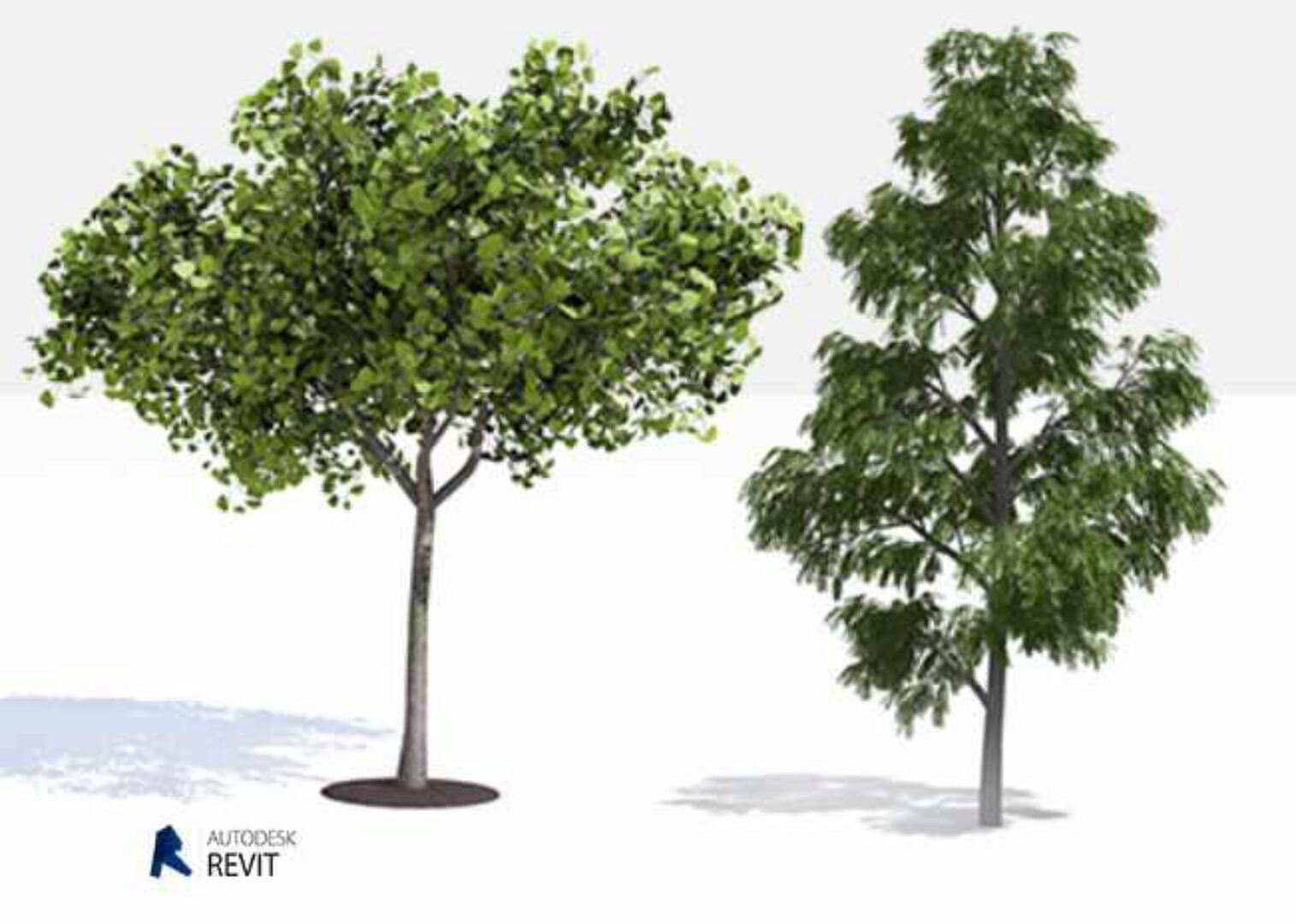 Ландшафт в Revit. Базовый, 2015 (Владимир Выборный)