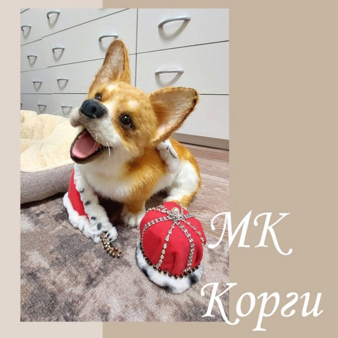 Корги (Валентина Крижановская)
