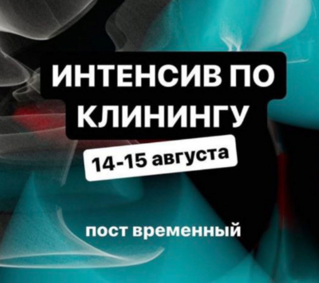 [aida_prodom] Интенсив по клинингу