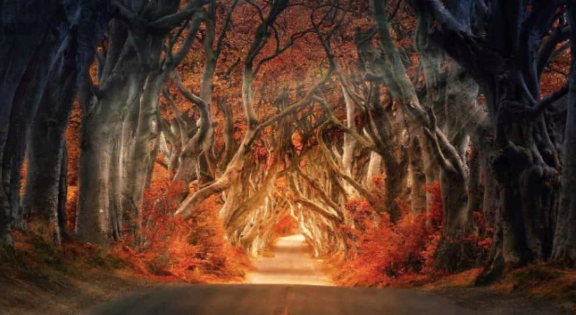 Осознанность: Фаза 3 + транскрибация (Lee)