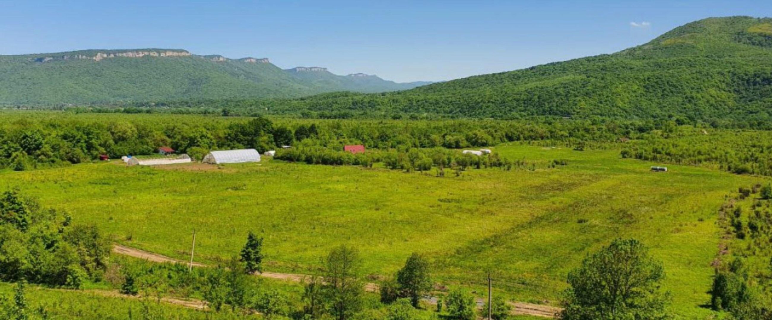 [Райар] Специальность: проектирование пермакультурного дизайна