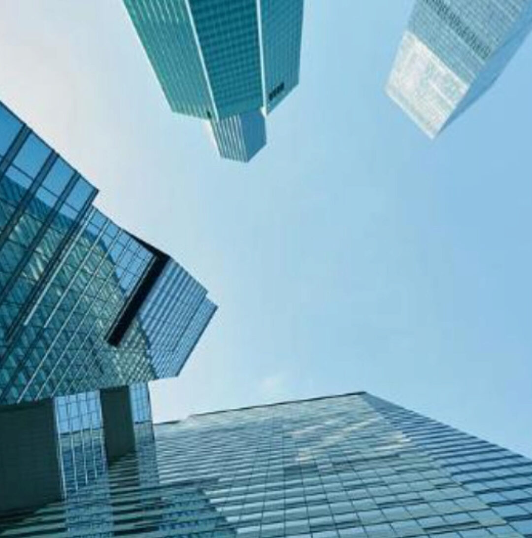 10 дом гороскопа. Как развивать свою профессию (Анна Ласточкина)