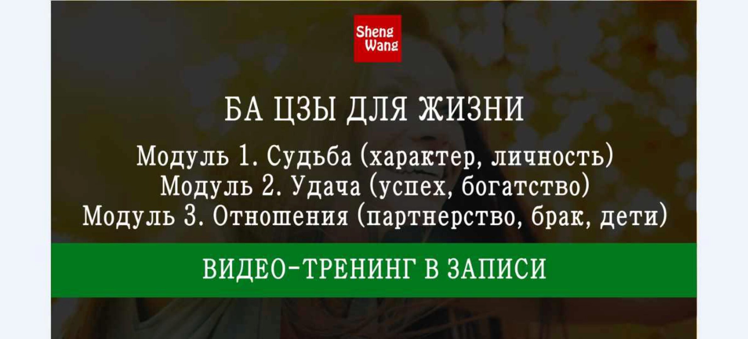 Ба-цзы 4 столпа судьбы. Все модули (Мария Щербакова)