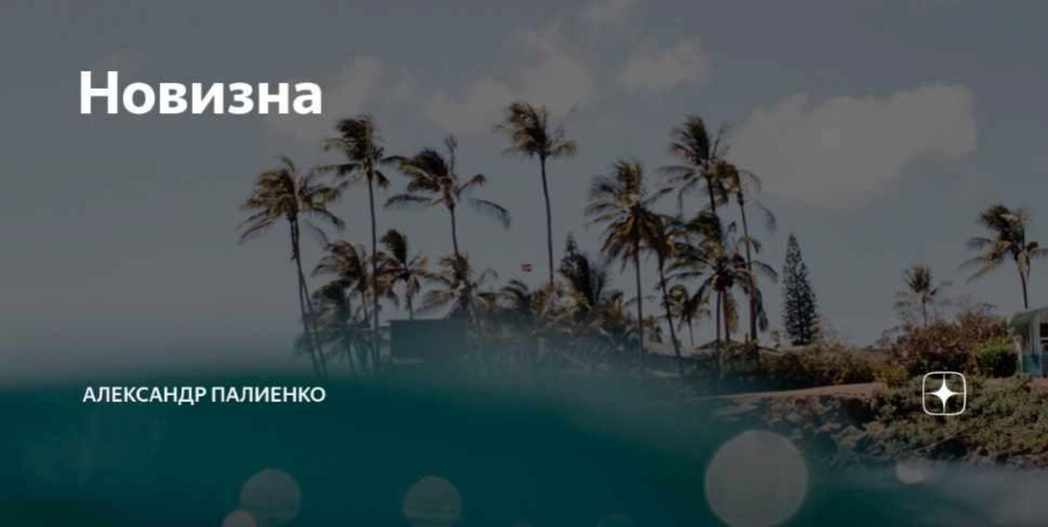 Новизна (Александр Палиенко)