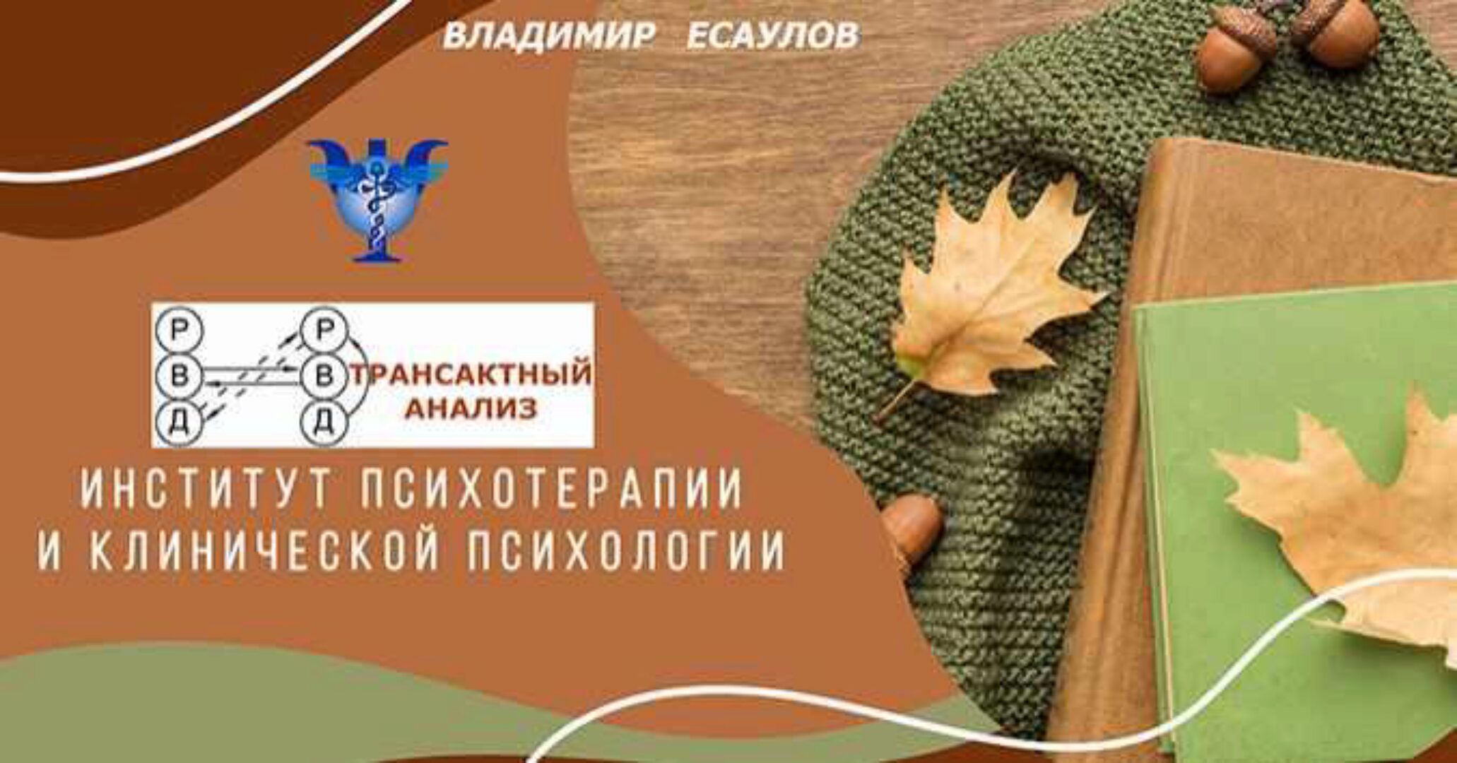 Трансактный анализ. Цикл 1-3 (Владимир Есаулов)