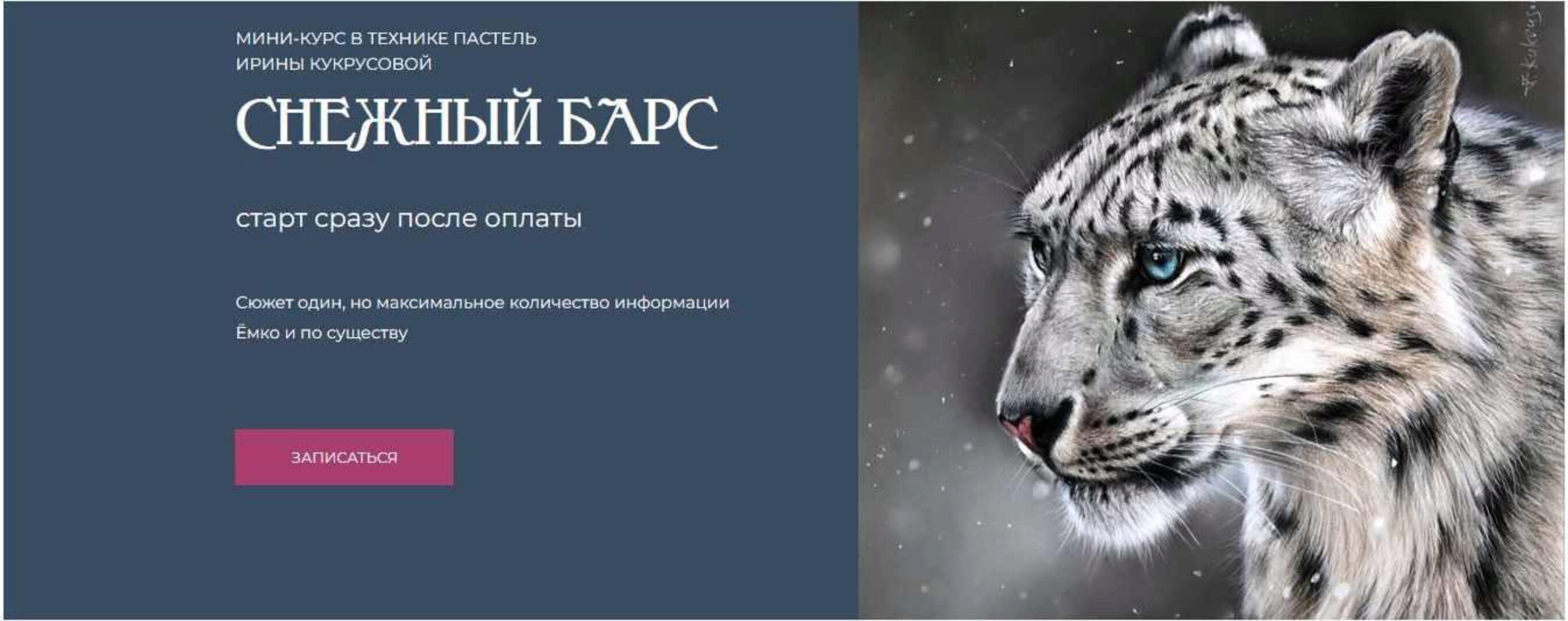 Снежный барс (Ирина Кукрусова)