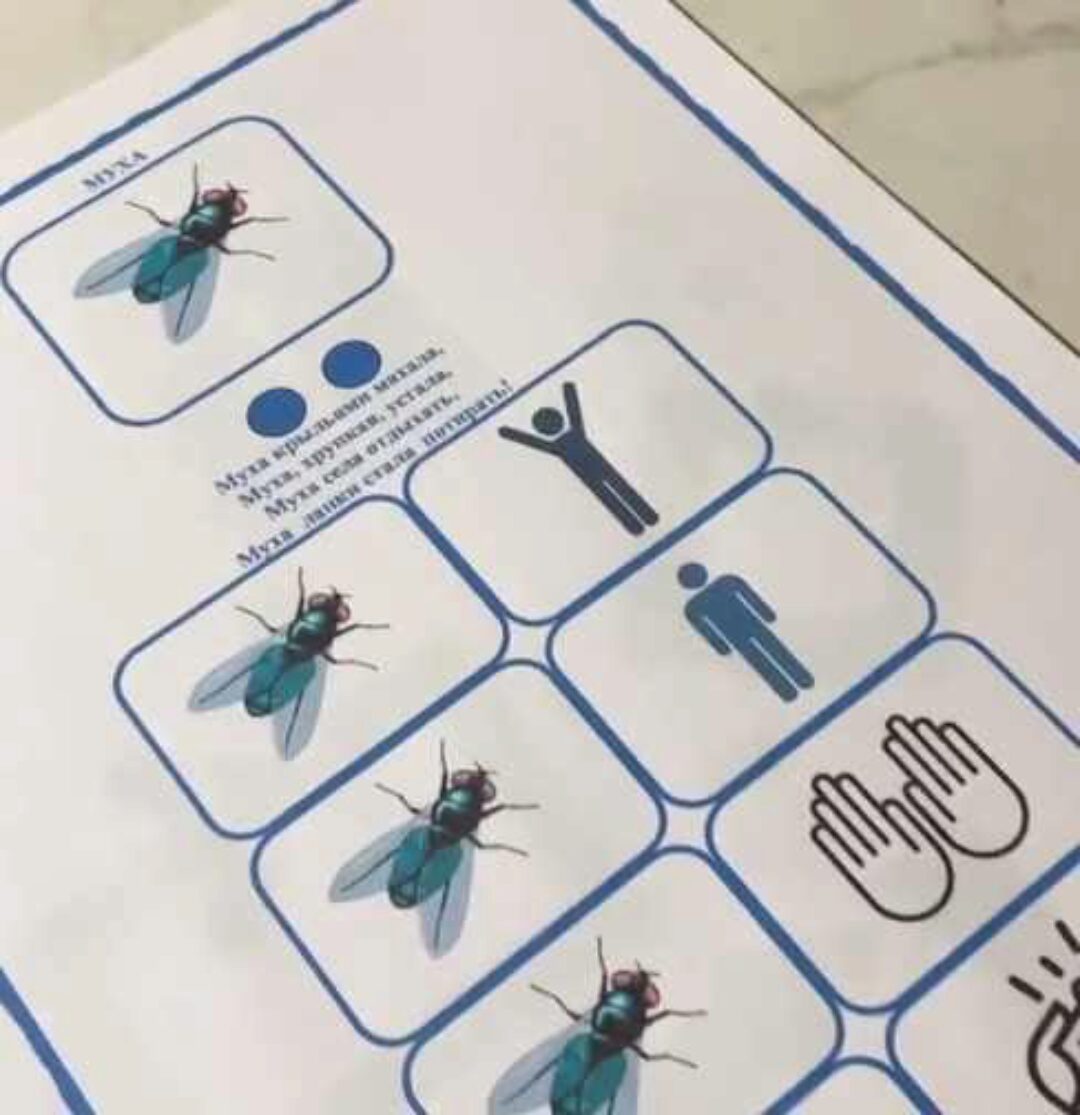 [Логопед Печоры] Материалы для логопедов: запуск речи, слоговая, грамматика (Оксана Вайнгольц)