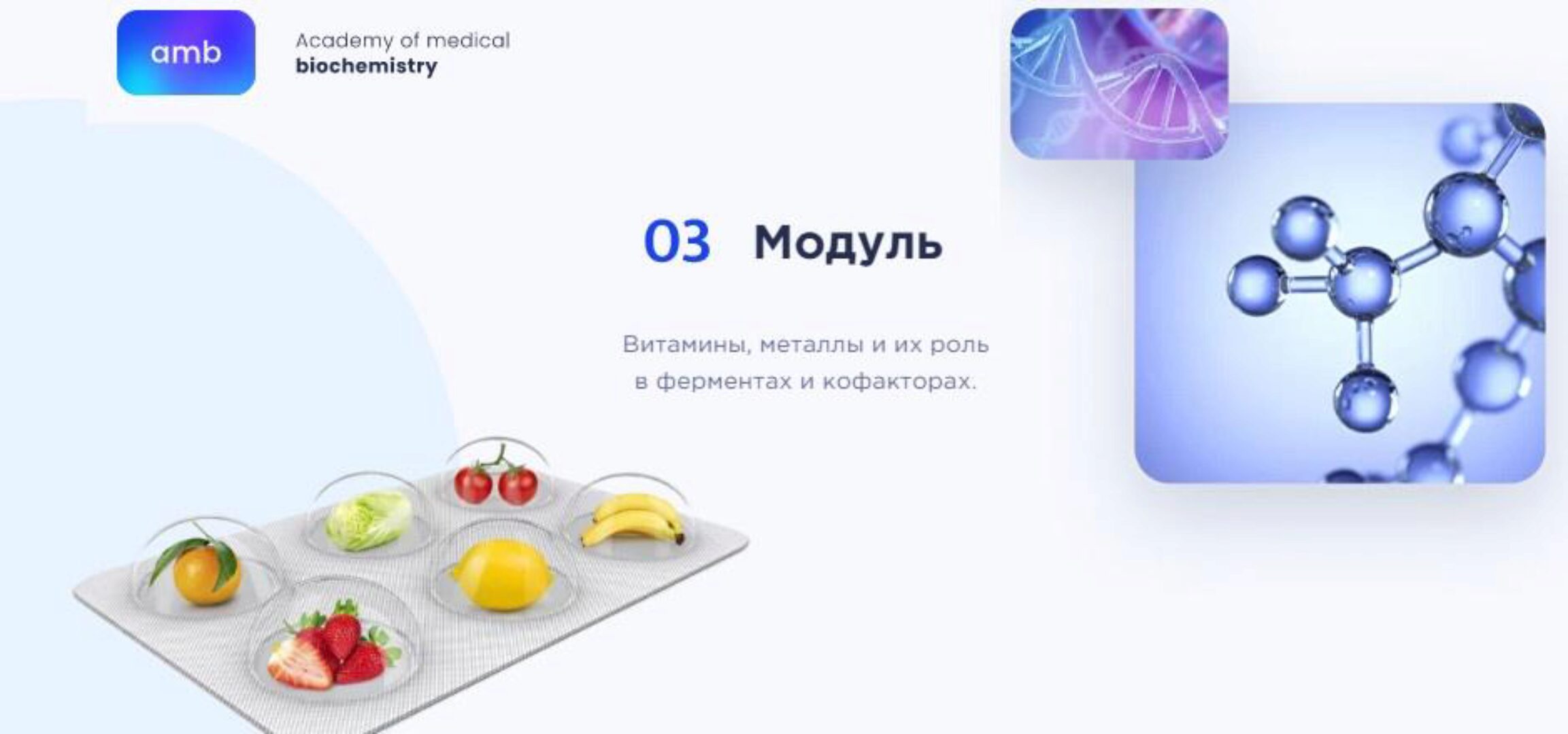 [amb] Основы биохимии. 3 модуль (Елизавета Радевич)