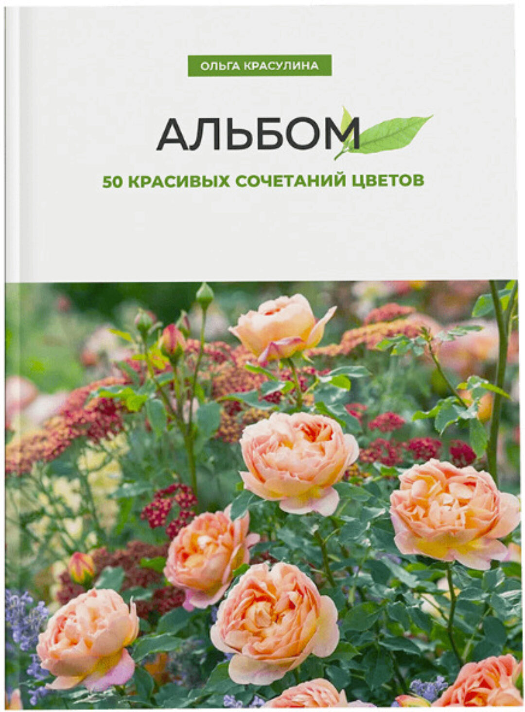 Черенкование кустарников (Ольга Красулина)