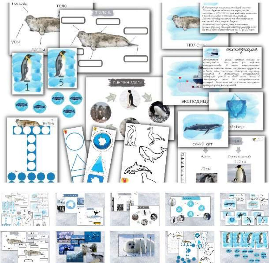 [busy-bee] Антарктида (Елена Самсонова)