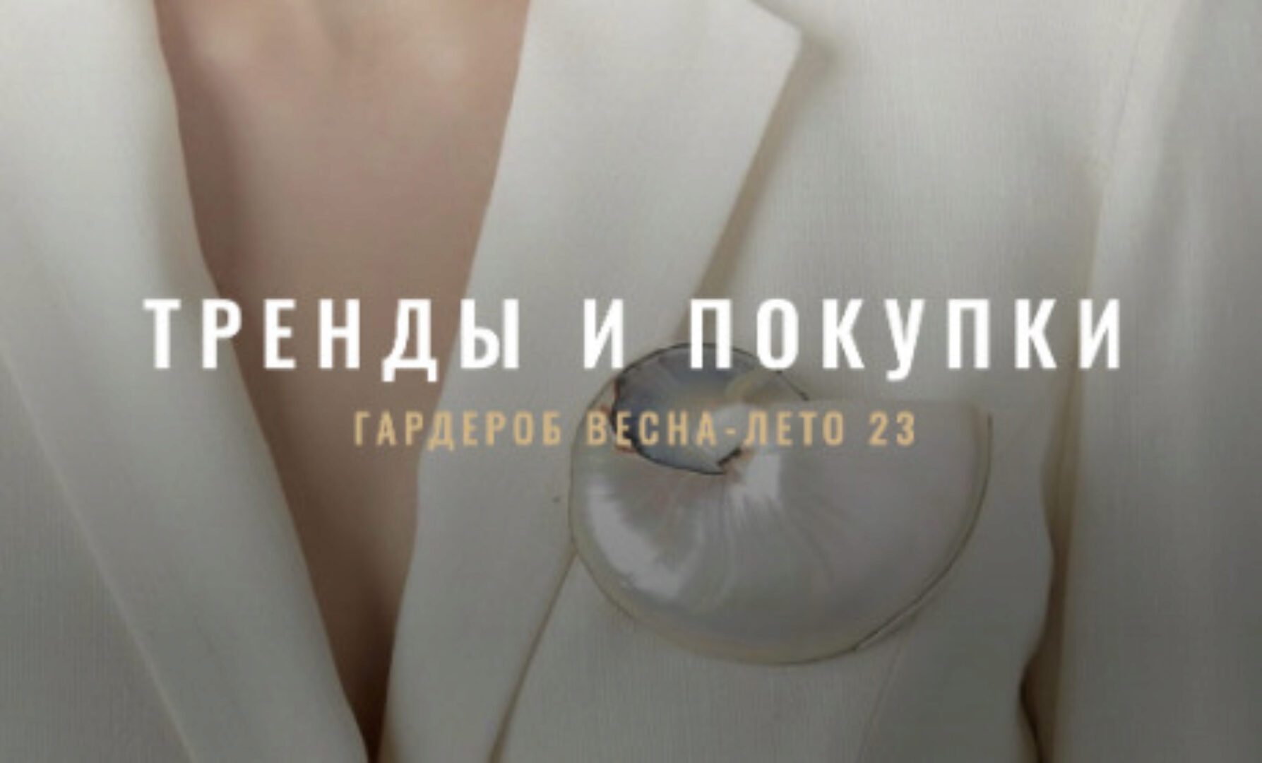 [Fashinology School] Тренды и покупки ВеснаЛето 2023 (Лайма Рыльская)