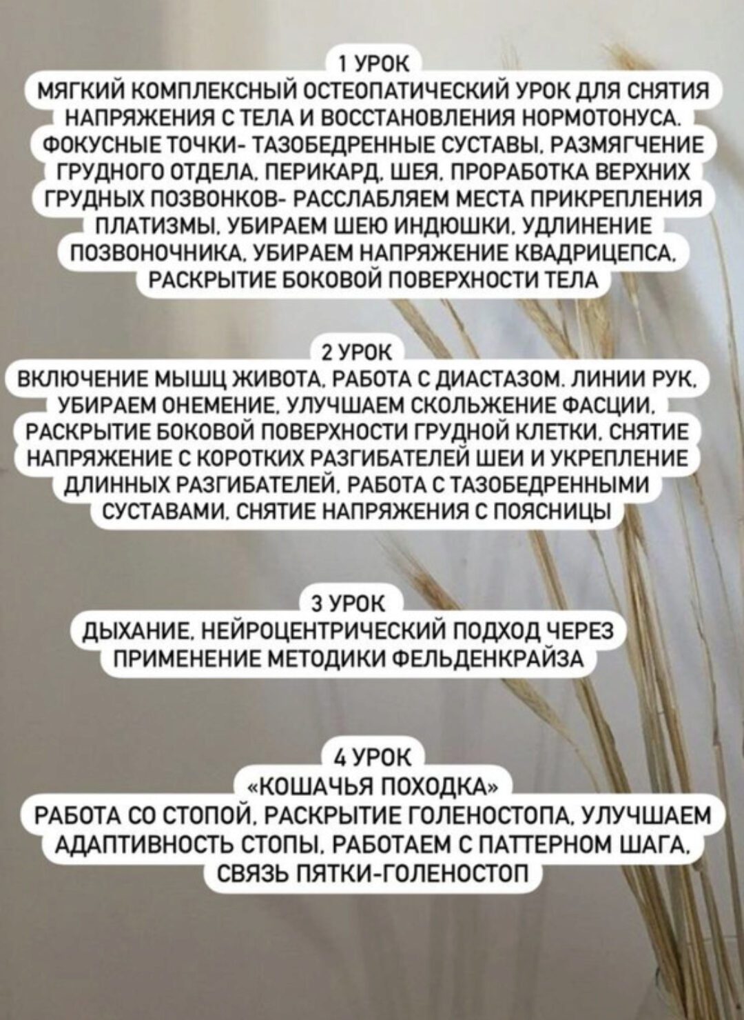 [chasnyk_stylist] Секта. Март 2023 (Ксения Часнык)