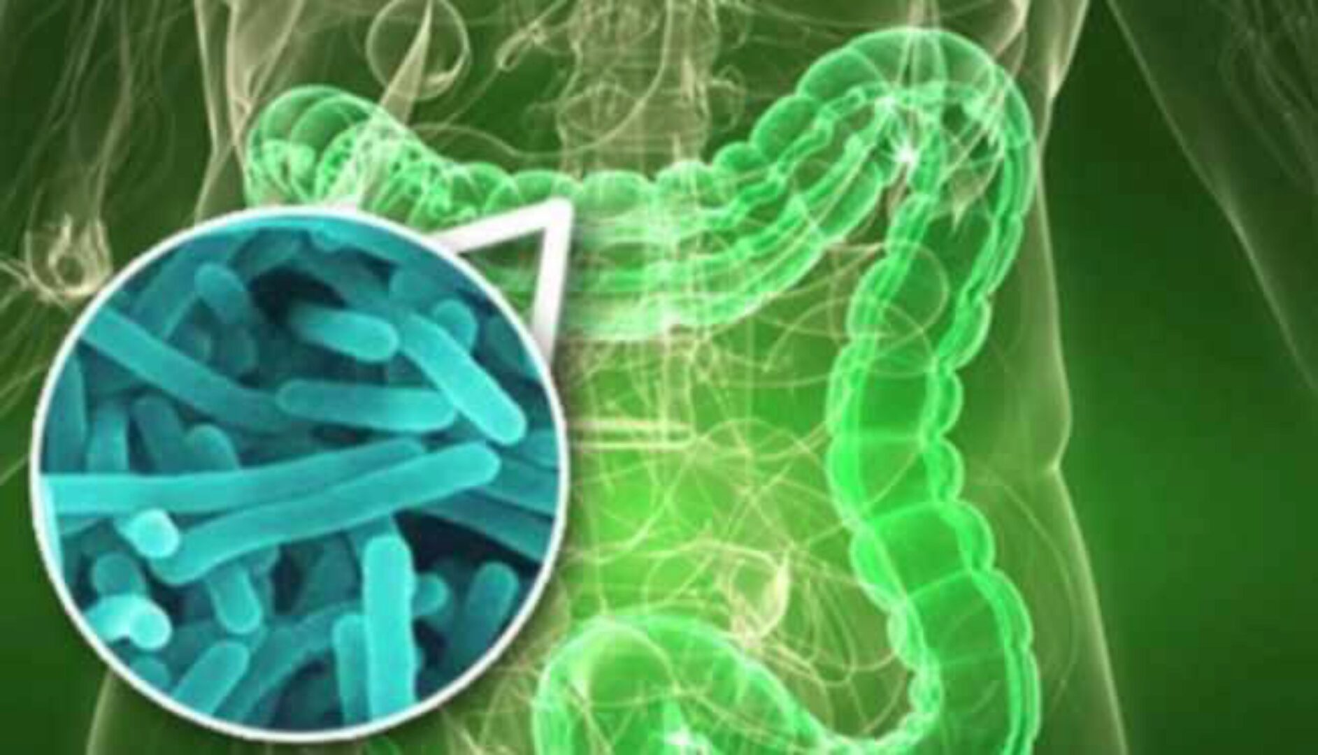 Комплексная программа домашнего выведения всего спектра паразитов и грибов из организма человека (Артем Хачатрян, Ирина Беспалова, Александр Михайлов)