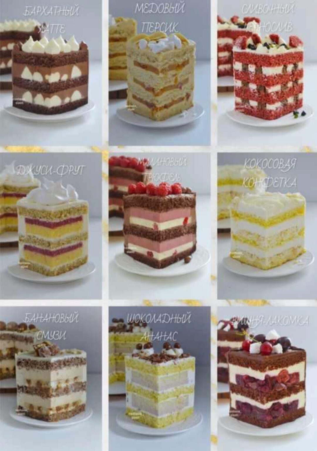[nastasia_slasti] Сборник рецептов Бисквитные торты (Анастасия Попова)