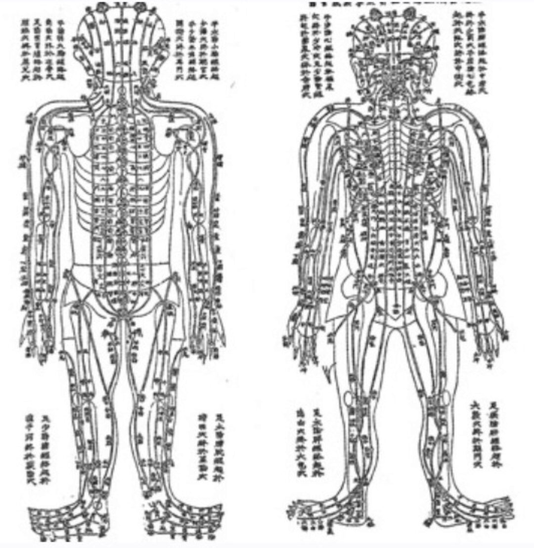 Семинар Лечение постинсультных расстройств методами ТКМ (Цун Лей)