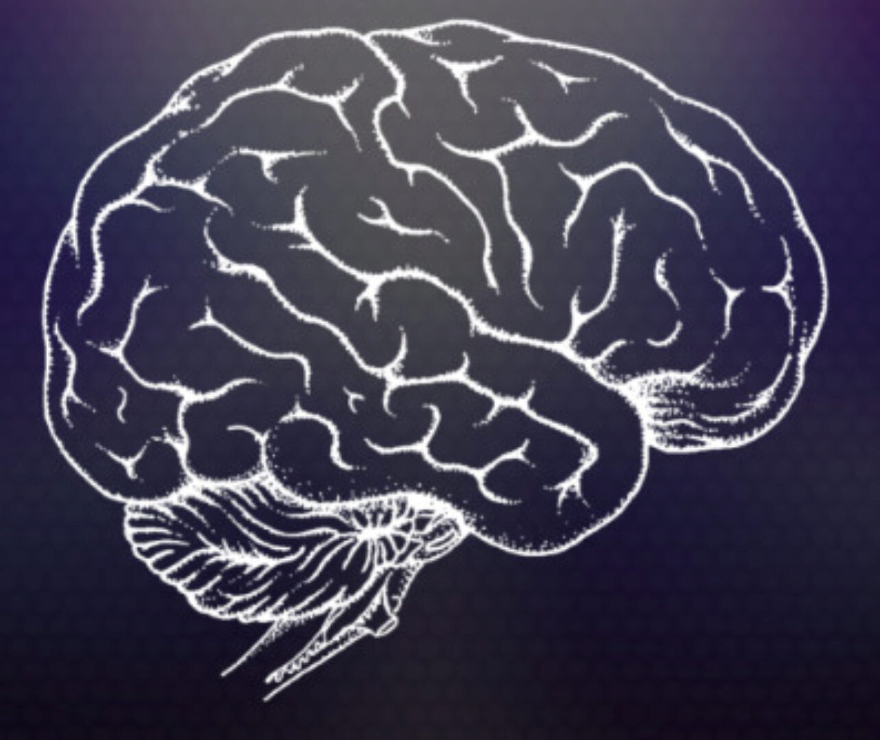Метод программирования мозга на достижение абсолютно любой цели и ликвидации страхов (Яна Эдельштейн)