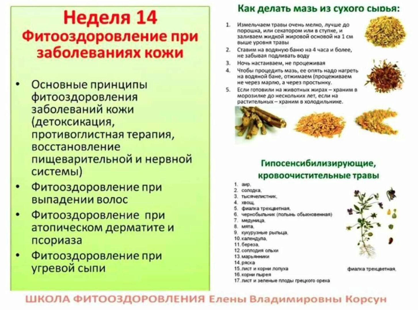 Фитооздоровление при заболеваниях кожи (Елена Корсун)