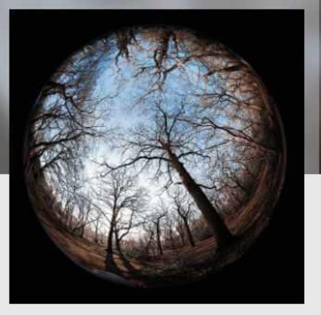 [Митра-Варуна]  Луна и мозг. Когнитивная астрология (Анна Ласточкина)