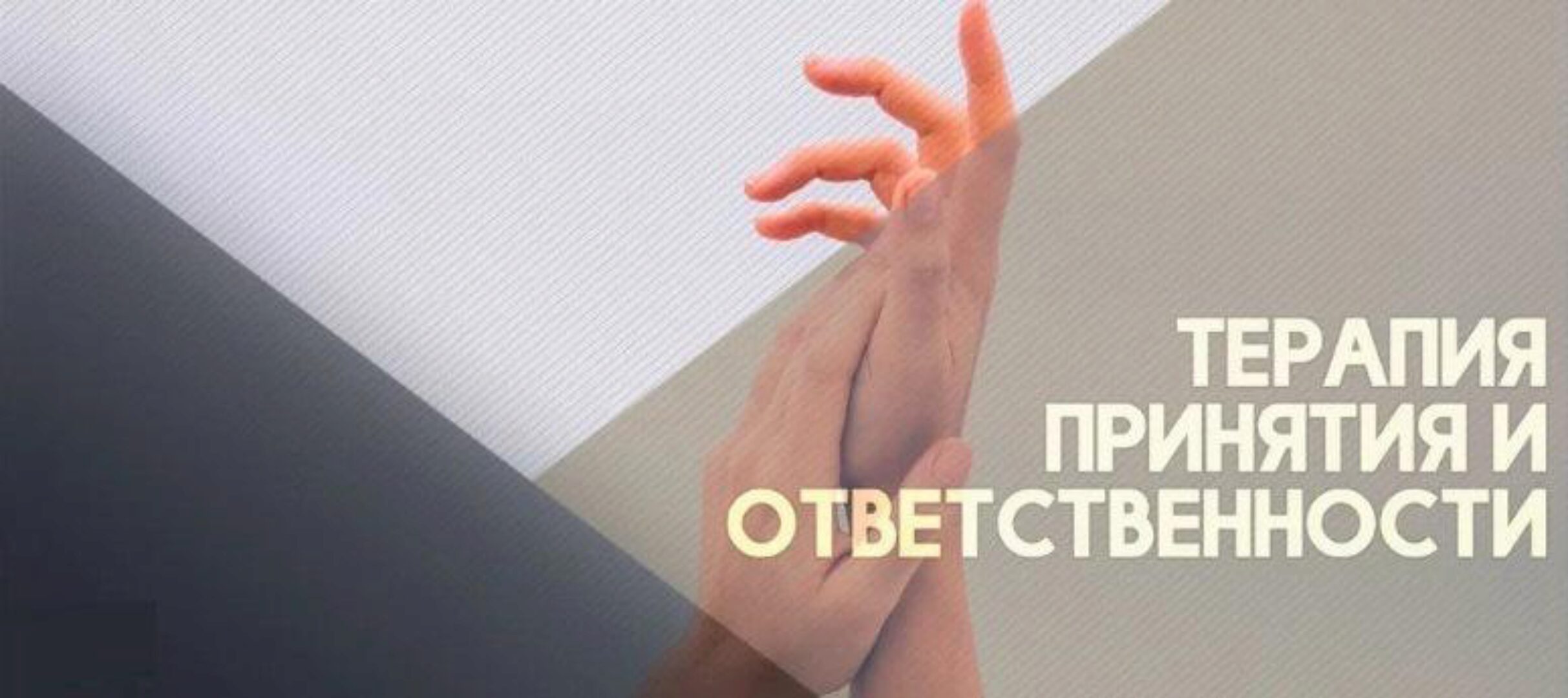 [ИПМП Карвасарского]  ACT - Терапия Принятия и Ответственности (Карина Морозик,Вячеслав Яковлев)