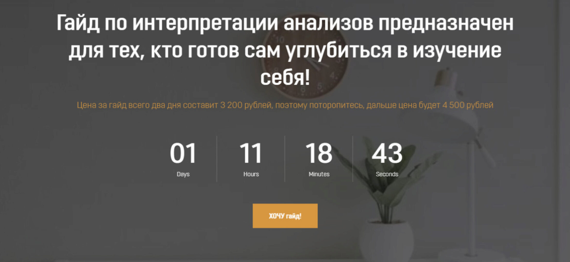 Гайд «Расшифровка анализов» (Анна Тищенко)