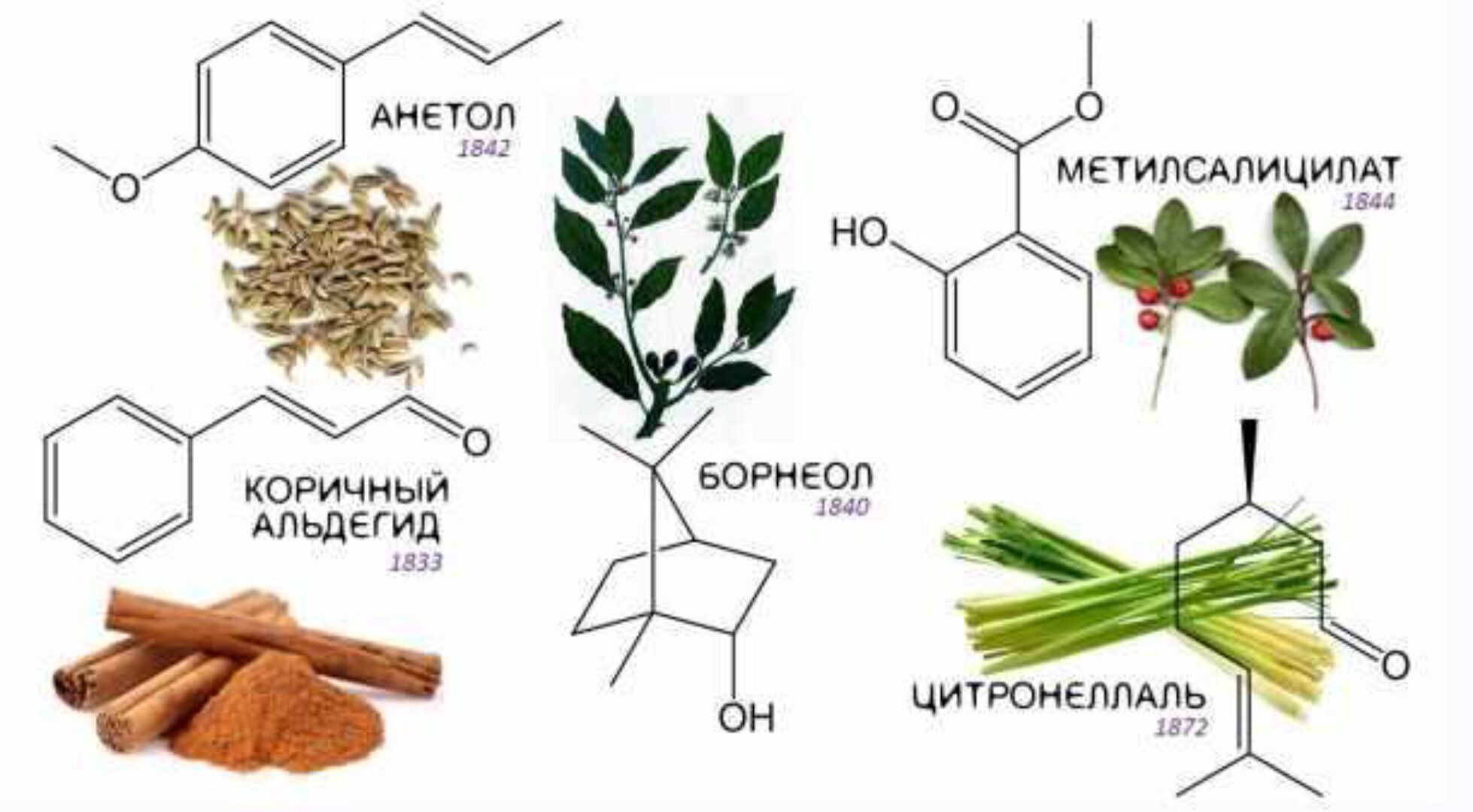 [Астарта] Химия эфирных масел (Анна Семенова)