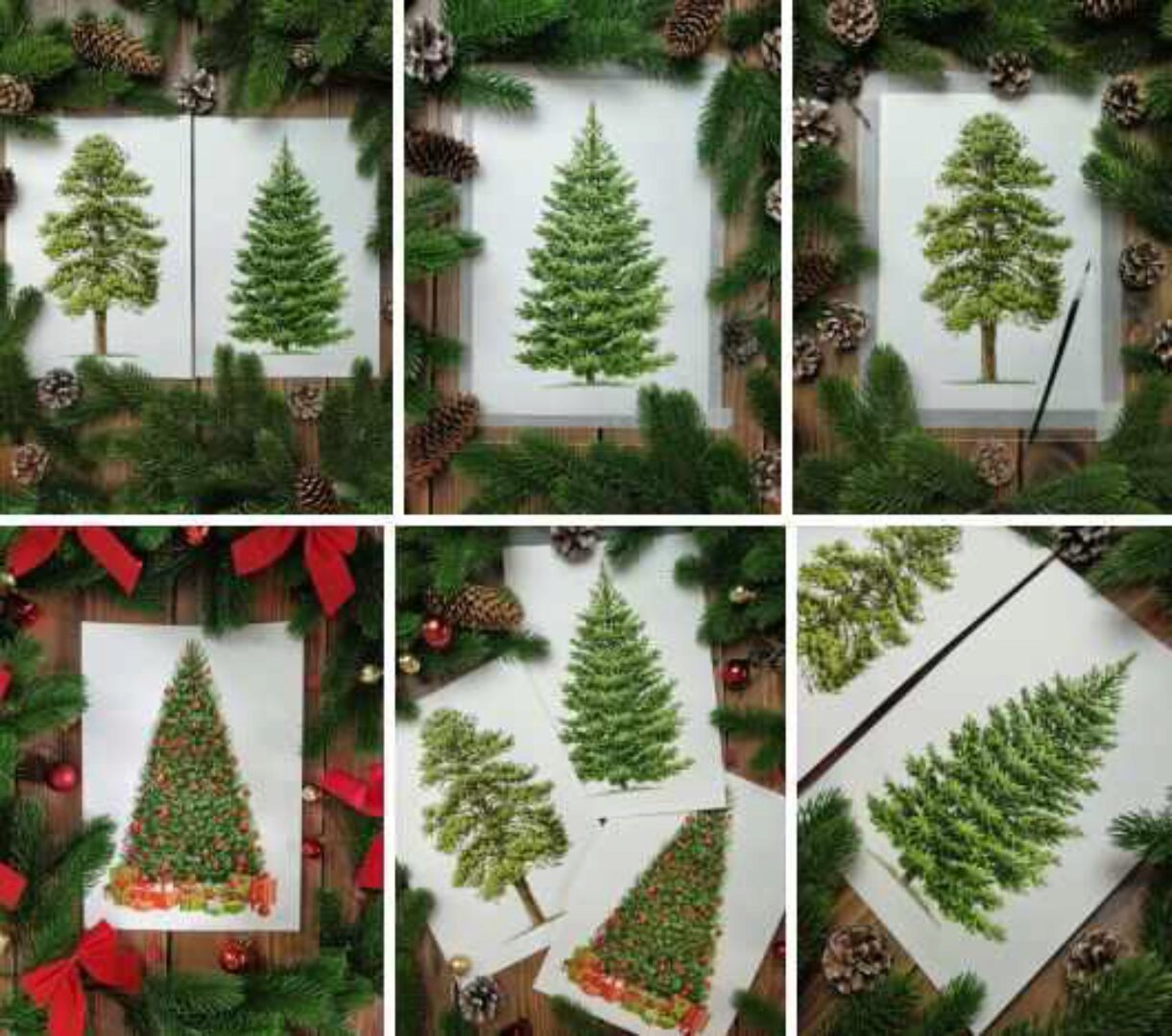 Курс Хвойный (Евгения Щеглова)