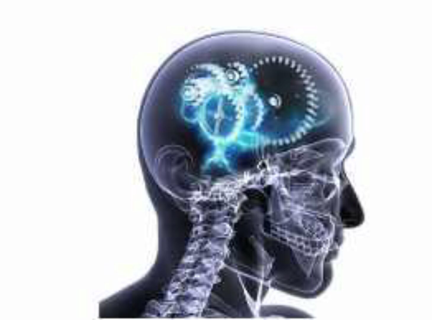 Обучение методу P-DTR. Первый модуль (Николай Струков)