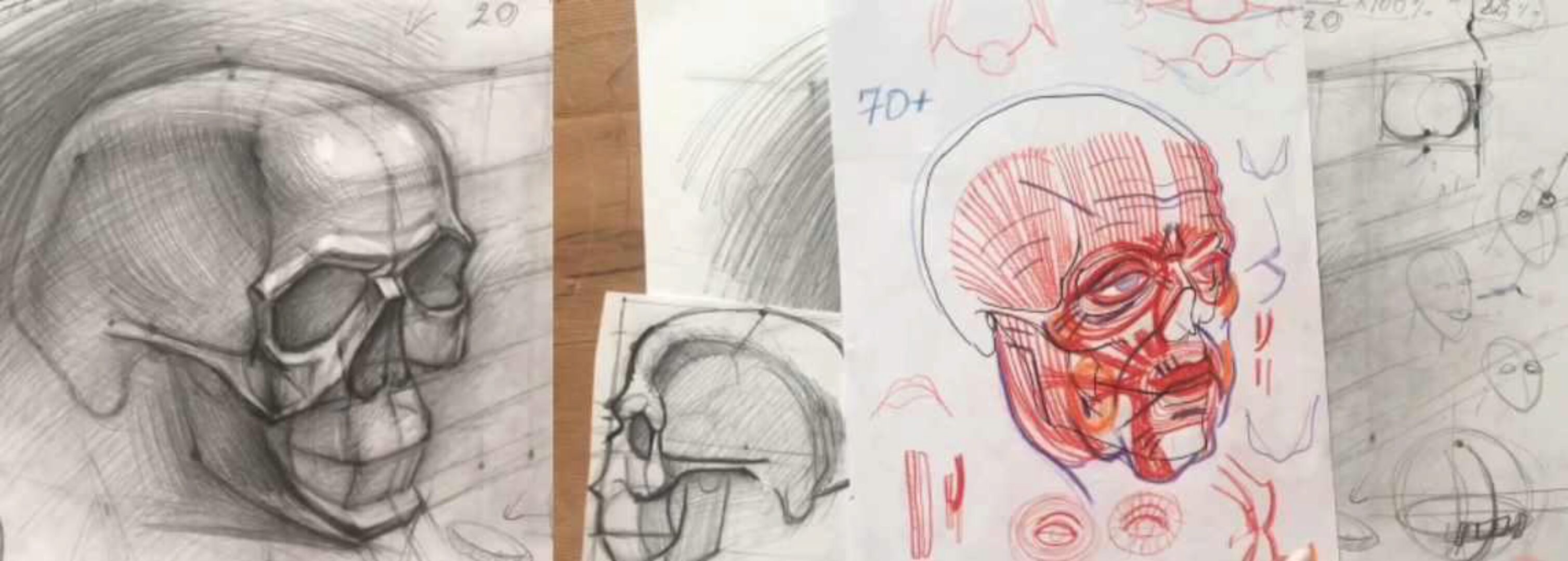 [Udemy] Рисуем череп (Дарья Остапенко-Праведникова)