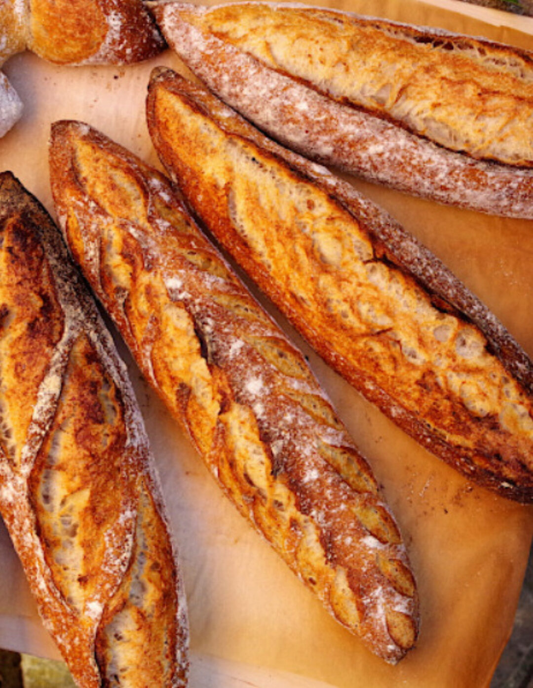 [Хлебомолы] Багеты