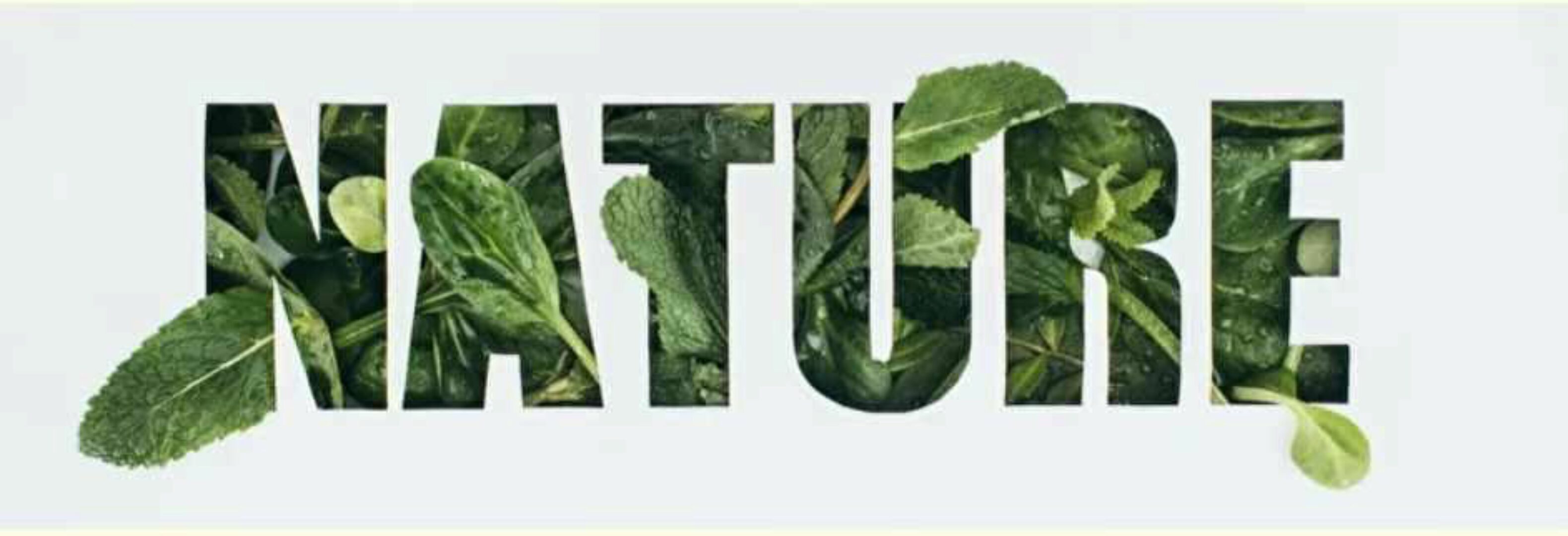 Профилактика и натуральный подход в лечении рака молочной железы (Борис Гринблат, Инга Гринбалт)