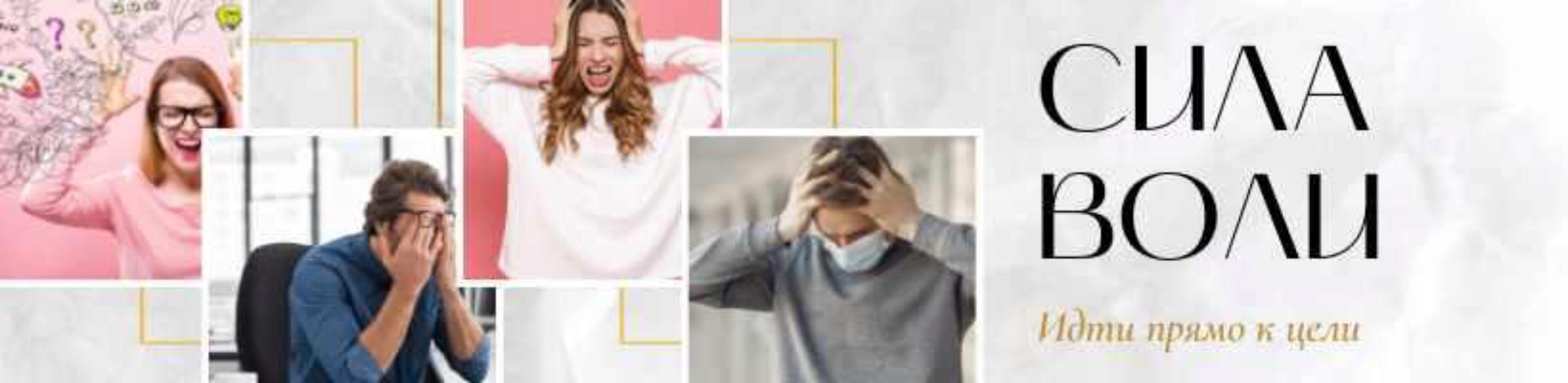 Сила Воли. Upgrade (Денис Штерев)