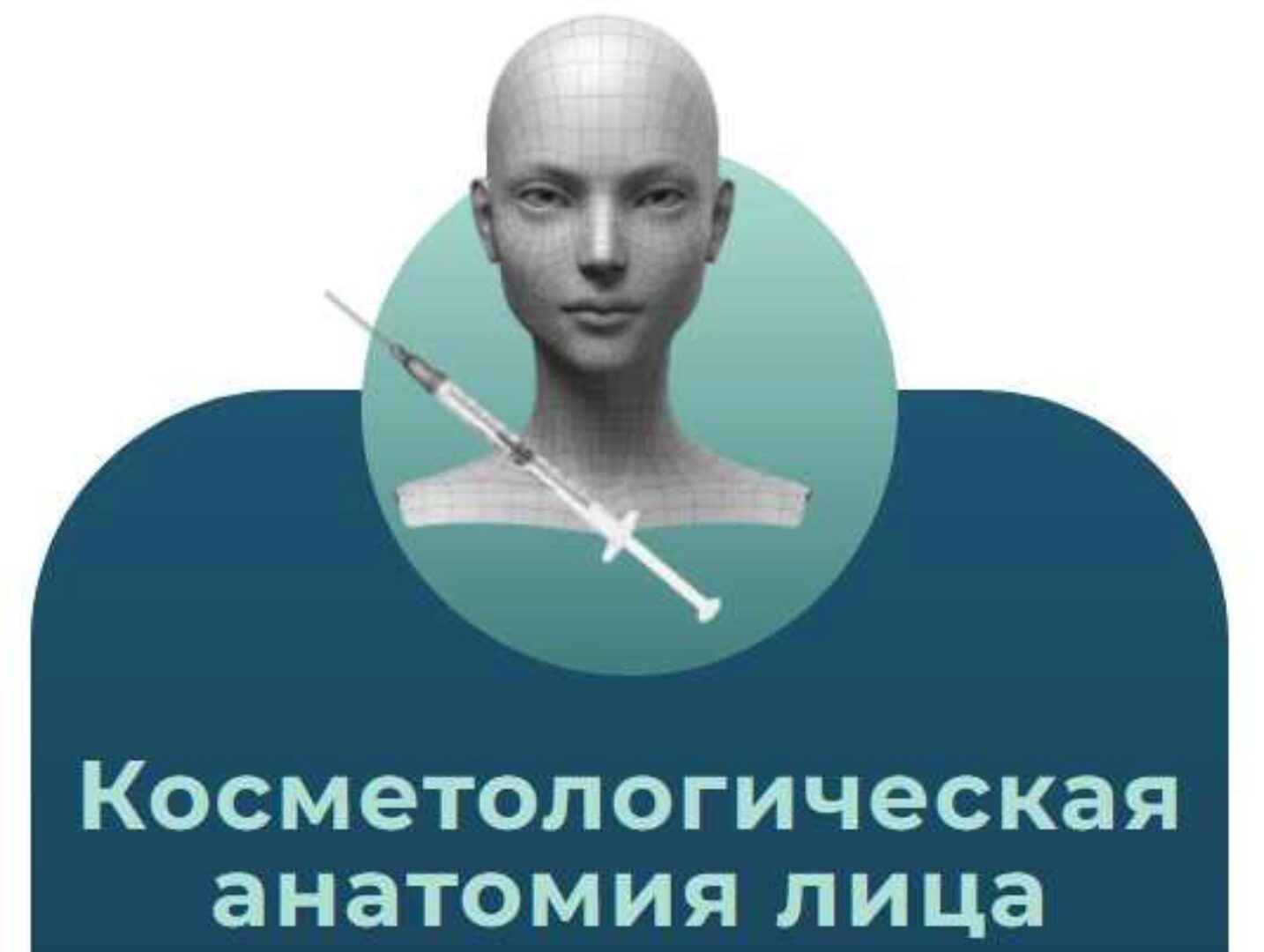 Анатомия человека. Тариф Косметологическая анатомия лица (Эдгар Кафаров)