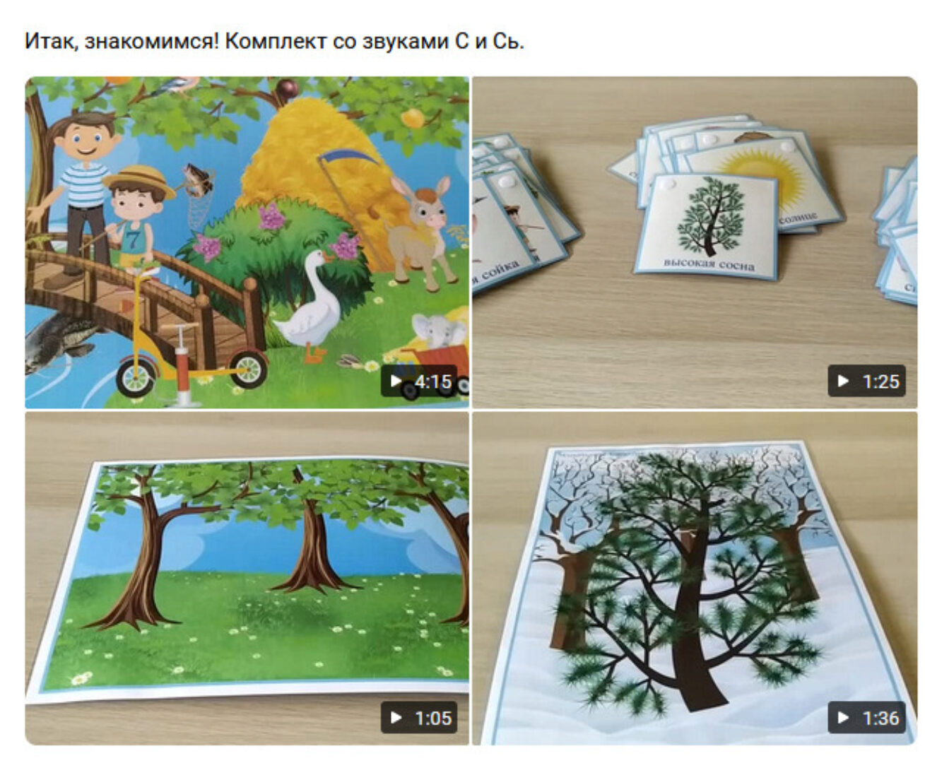 Автоматизация звуков. Комплект со звуком С и Сь (Евгения Михайлова)