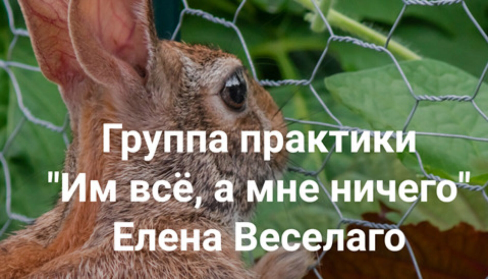 [Институт Открытого Поля] Им всё, а мне ничего (Елена Веселаго)