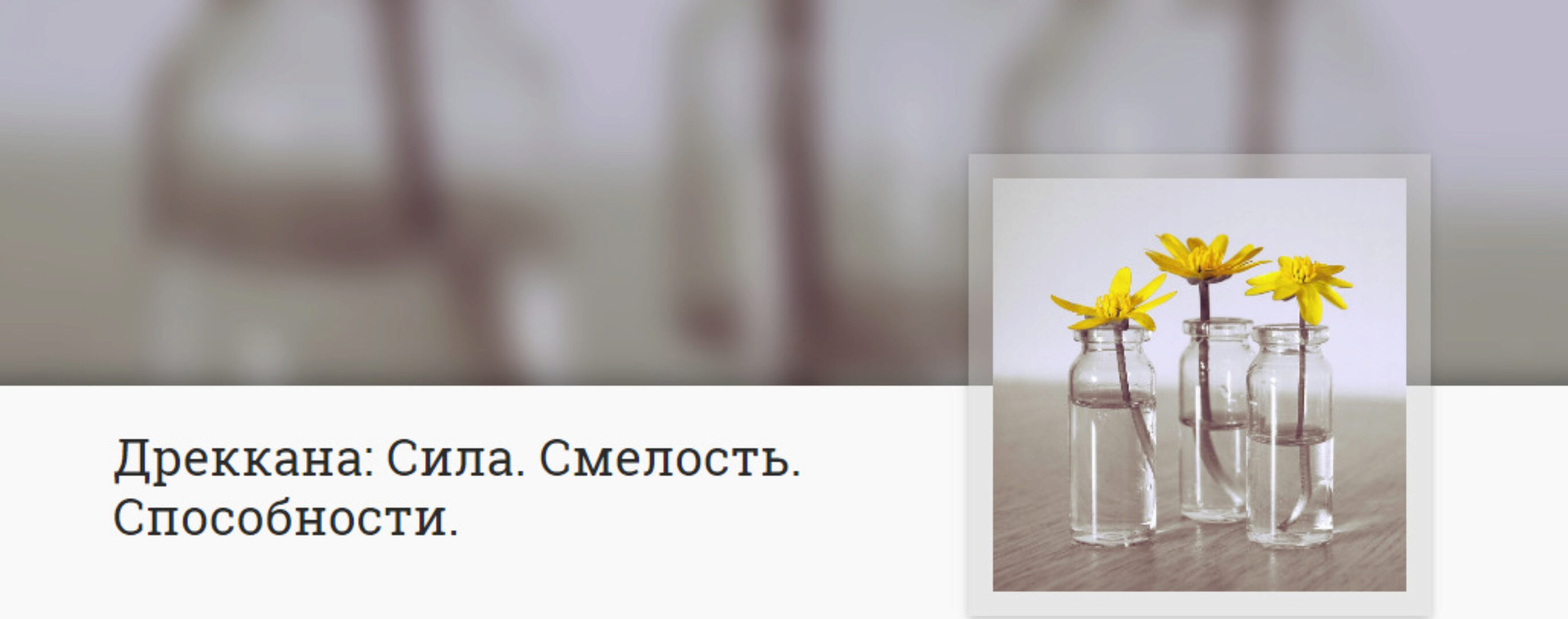 Дреккана: сила, смелость, способности (Анна Ласточкина)