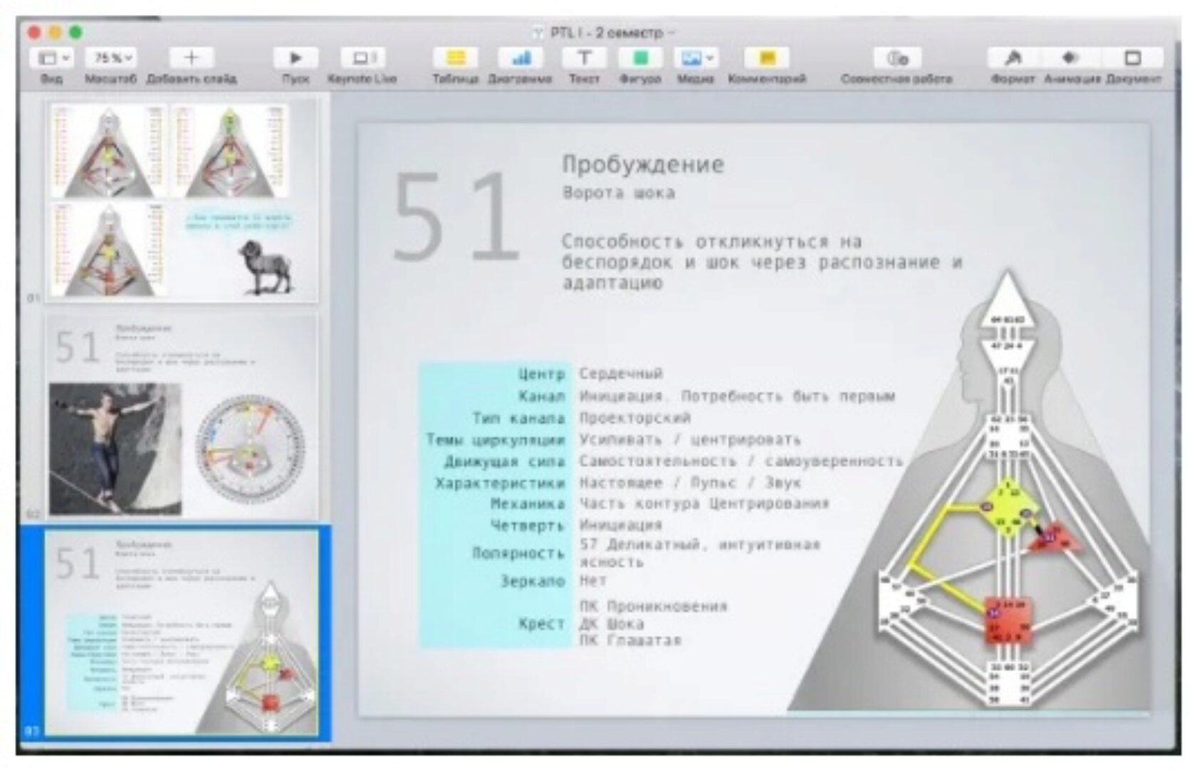 [Дизайн Человека] Курс «PTL I» месяц 1 (Виктор Крючков)