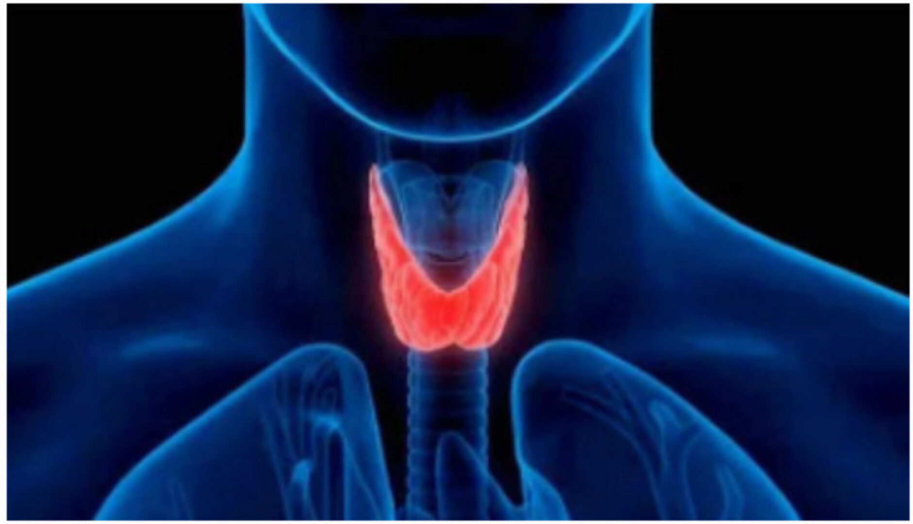 [Sigh Energy] Исцеление и регенерация щитовидной железы | Thyroid Healing and Regeneration