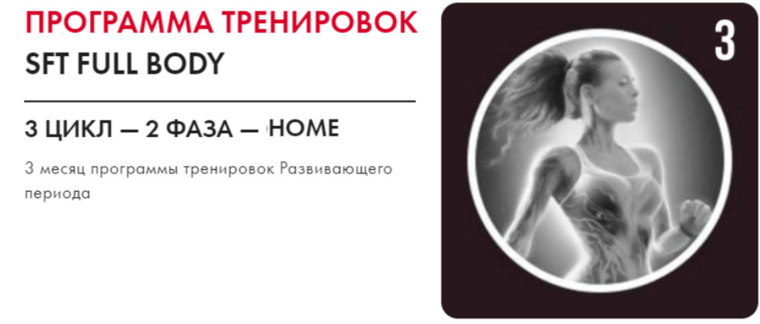 SFT Fullbody. 3 фаза. Тариф Home (Оксана Килина, Ирина Жукова)