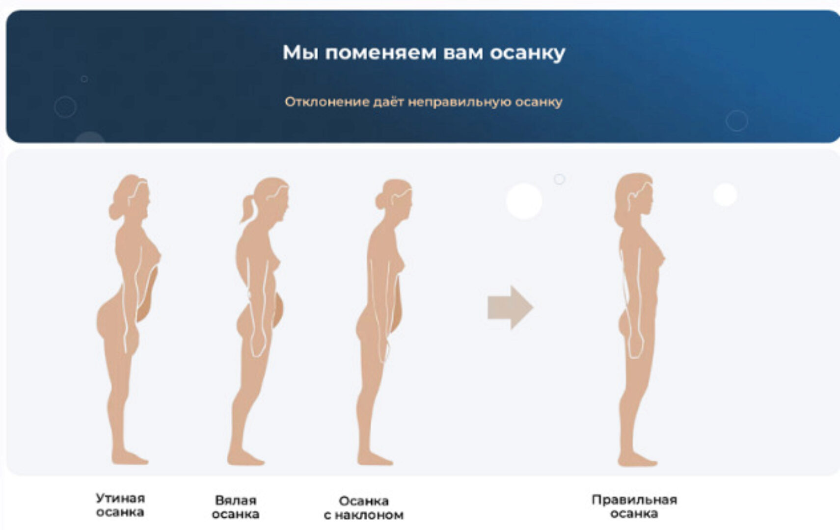 [Easydin Academy] Нейвок. Восстановление тела семиминутным расслаблением. Тариф 1 Осанка. Полный курс (Сергей Оларь)