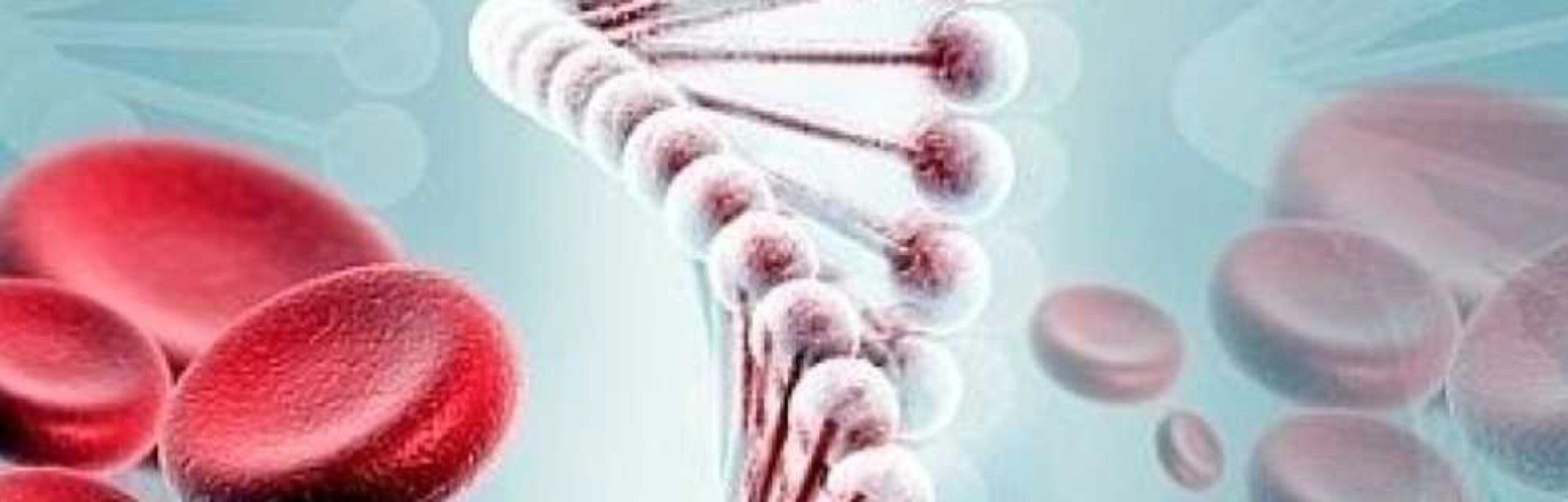 [Первая Школа Биохакинга] Гомоцистеин (Ирина Баранова)