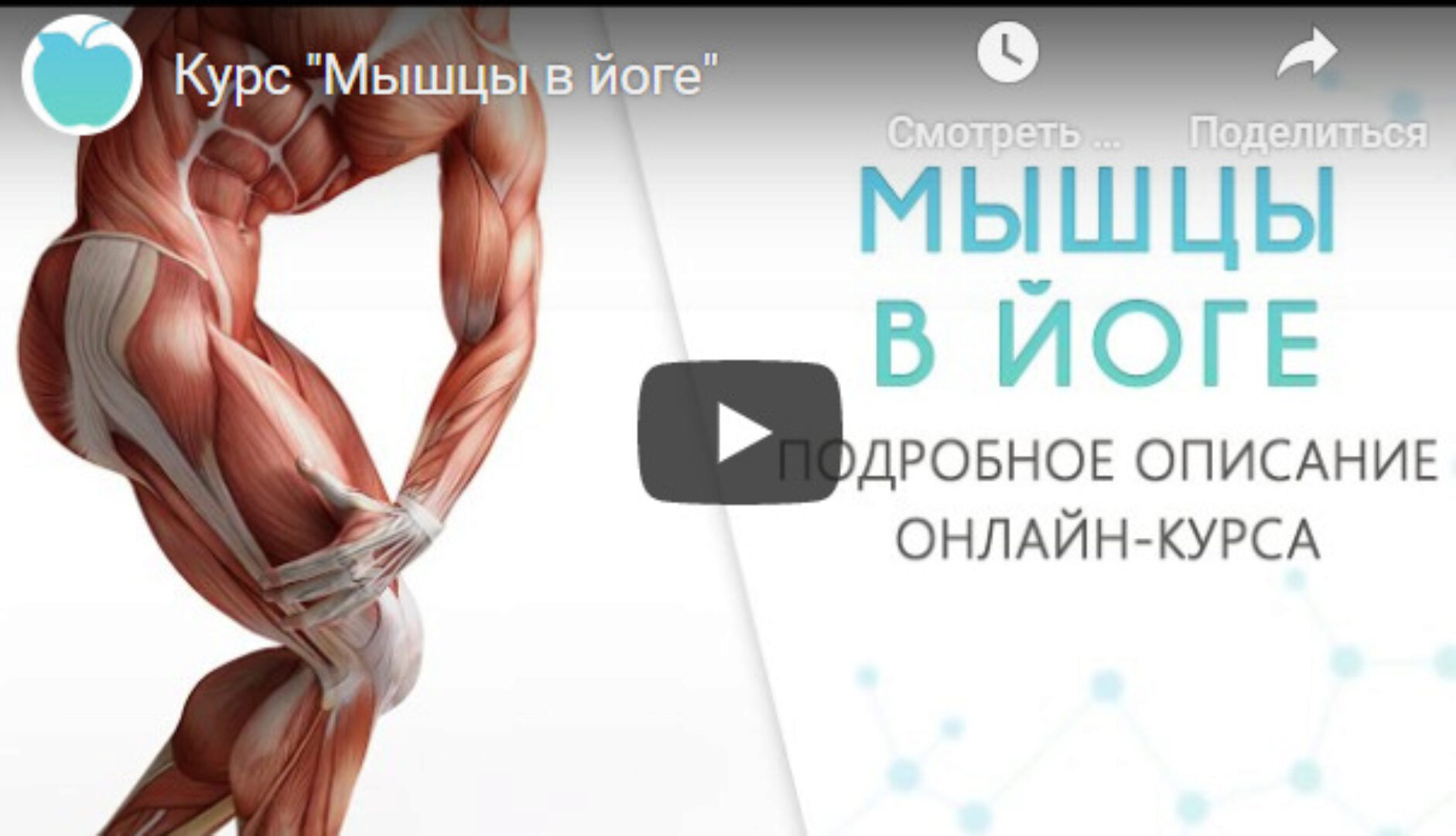 [Basebody] Мышцы в йоге (Ксения Шатская, Павел Радионов)