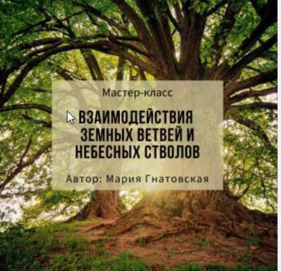 Взаимодествия земных ветвей и  небесных стволов  (Мария Гнатовская)