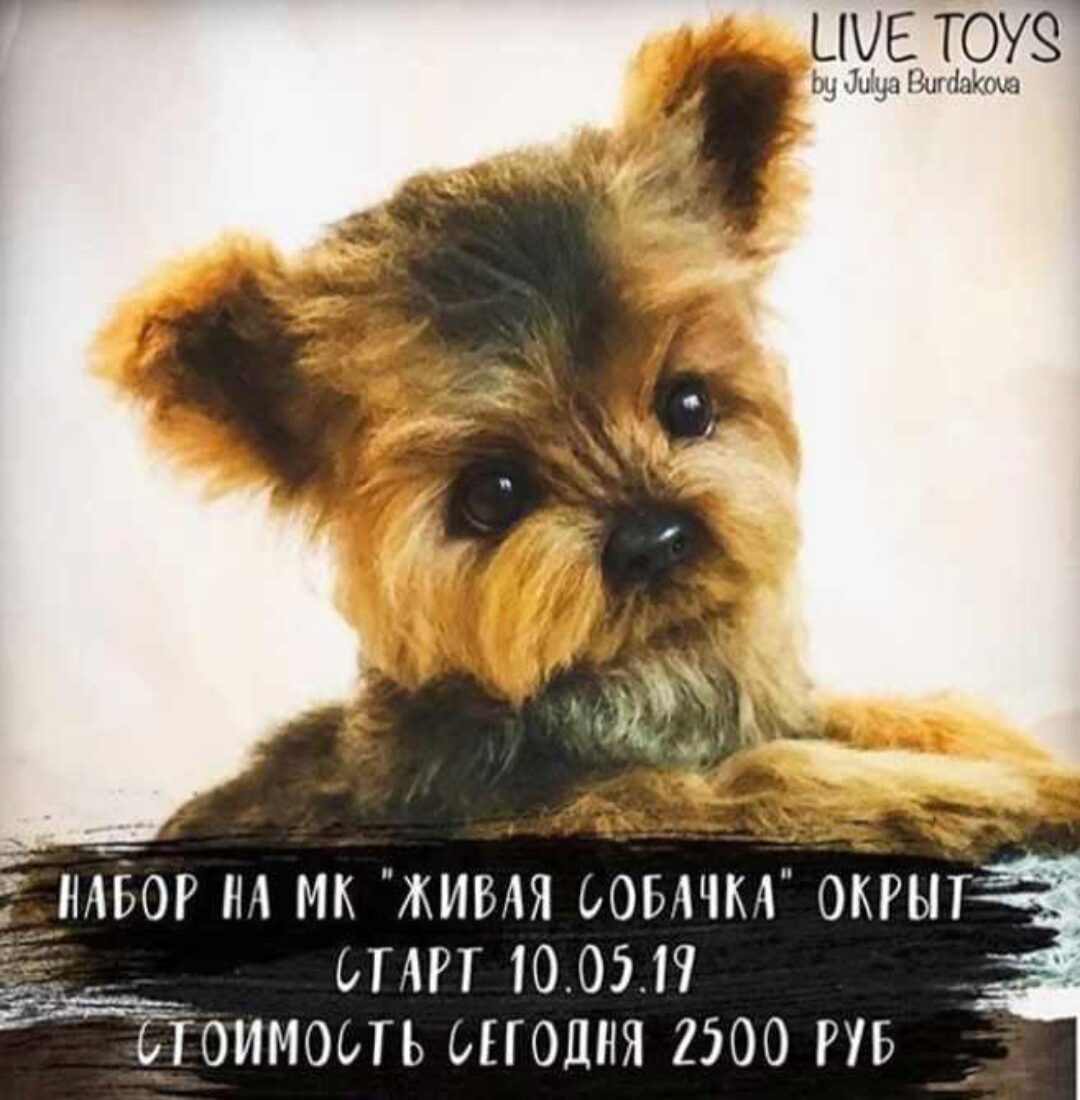 [Игрушки] Живая собачка (Юлия Бурдакова)