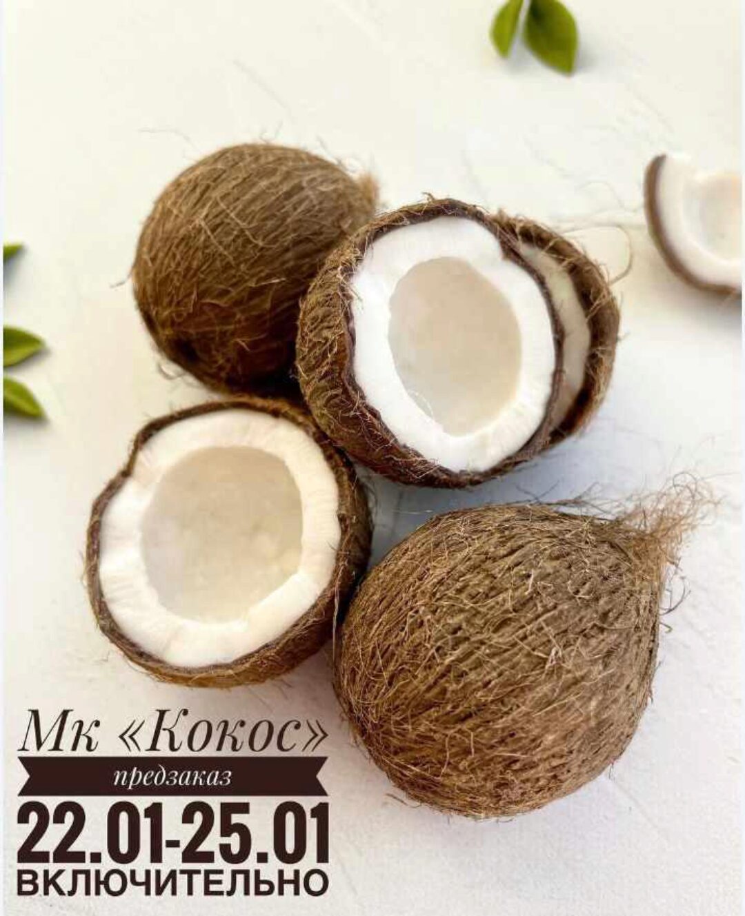 [lep_ot_a] Кокос (Александра Мочульская)